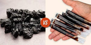 Shilajit Honey Sticks vs Shilajit Resin: Which Is Better for You?