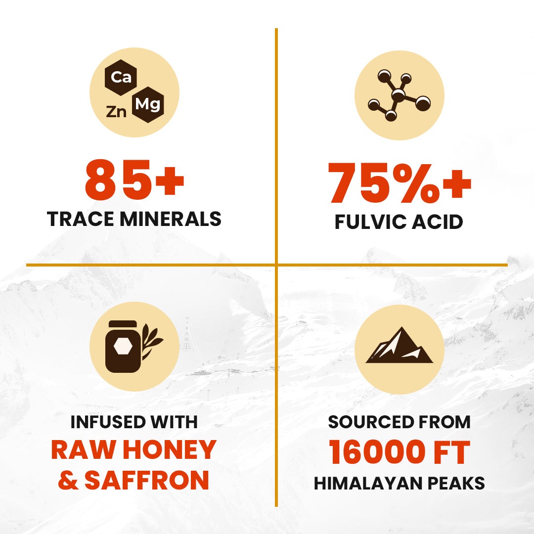 Shilajit Honey Sticks – Pure Himalayan Shilajit Resin Infused with Natural Honey